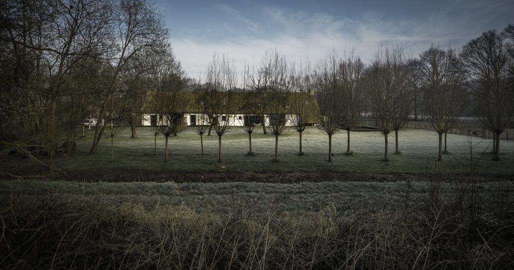 Moka & Vanille Villa Heusden-Zolder Buitenkant foto